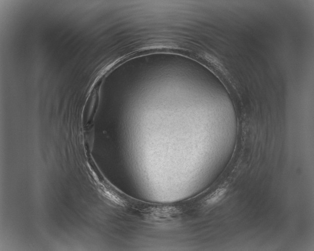 X0000058761129200510031012