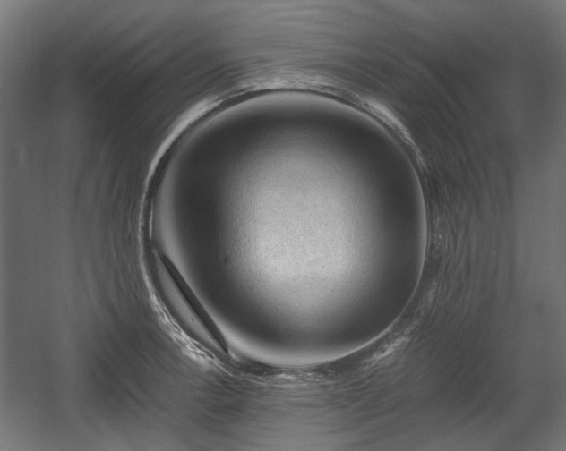 X0000058761138200510031012