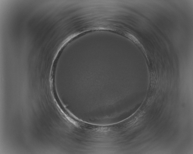 X0000058761141200510031012