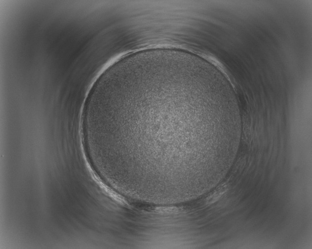X0000058761142200510031012