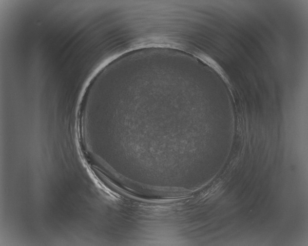 X0000058761144200510031012