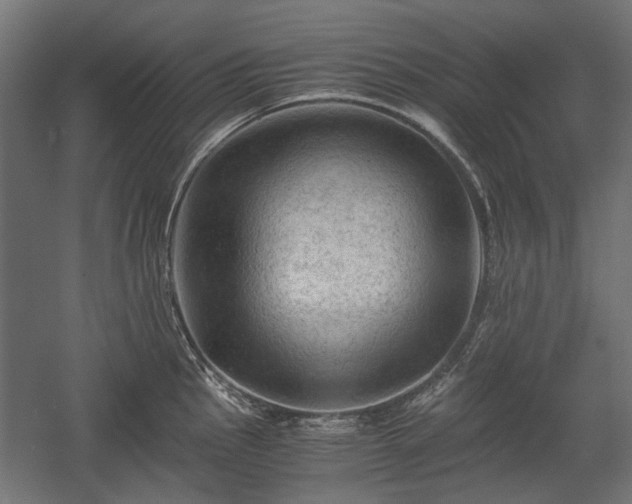 X0000058761145200510031012