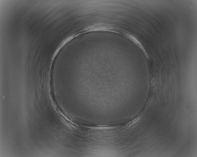X0000058761146200510031012