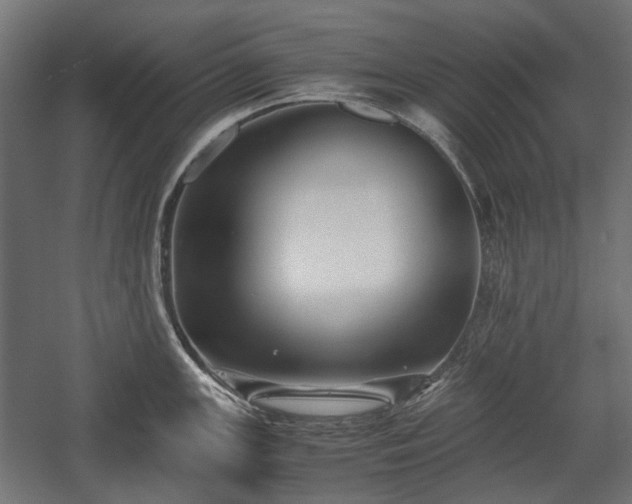 X0000058761147200510031012