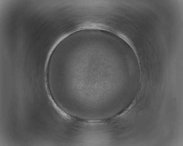 X0000058761152200510031012