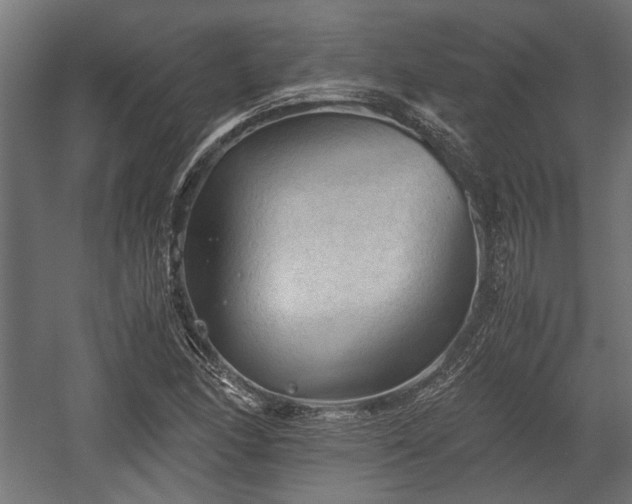 X0000058761166200510031011