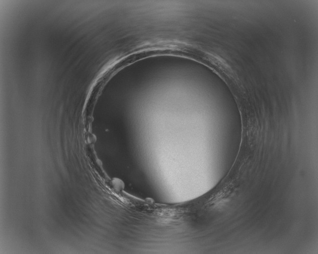 X0000058761172200510031011