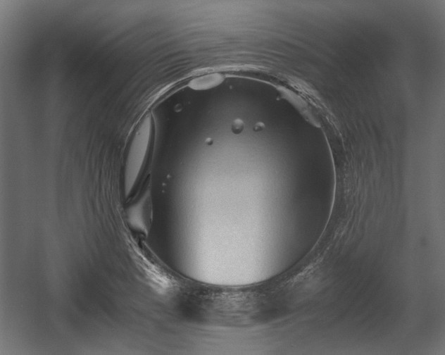 X0000058761177200510031011