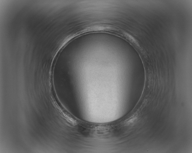 X0000058761178200510031011