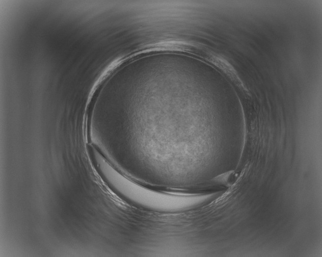 X0000058761180200510031011