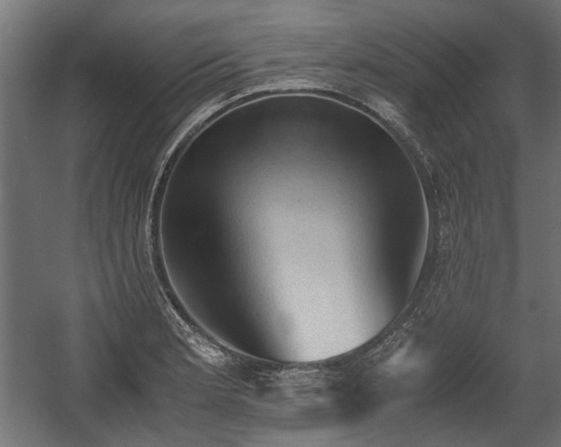 X0000058761181200510031011