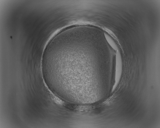 X0000058761183200510031011