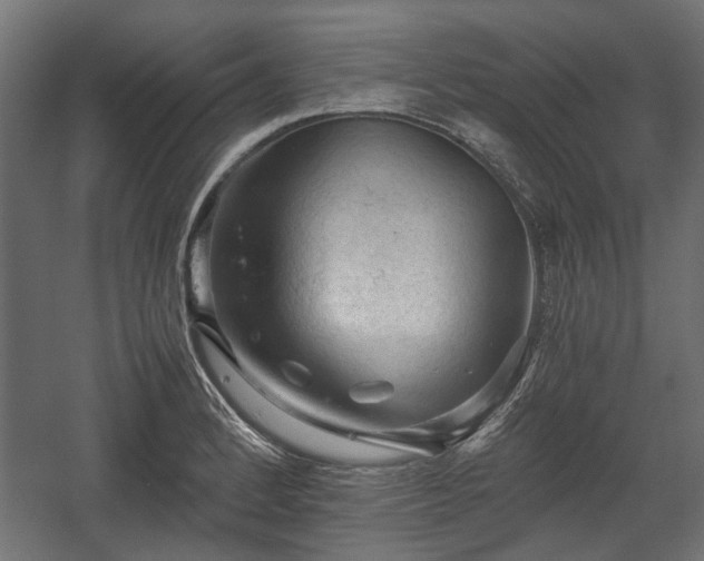 X0000058761184200510031011