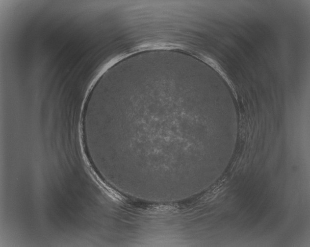 X0000058761187200510031010