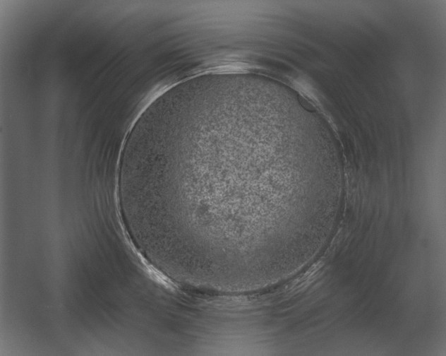 X0000058761194200510031010