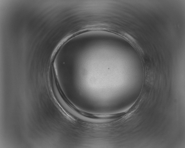 X0000058761196200510031010