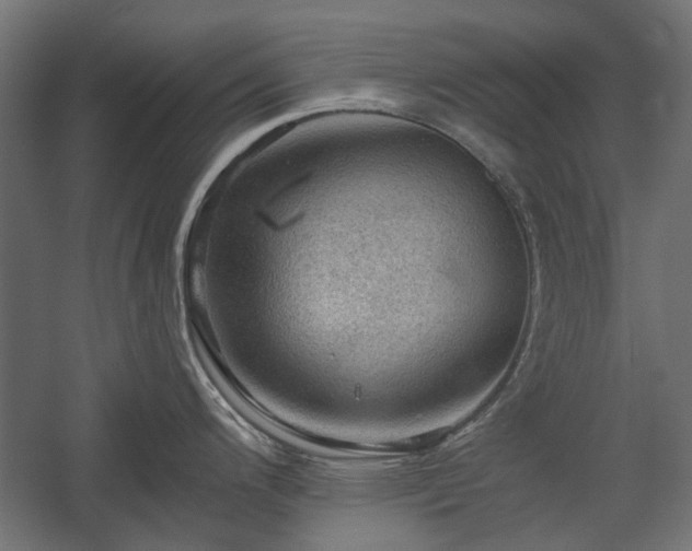 X0000058761200200510031010