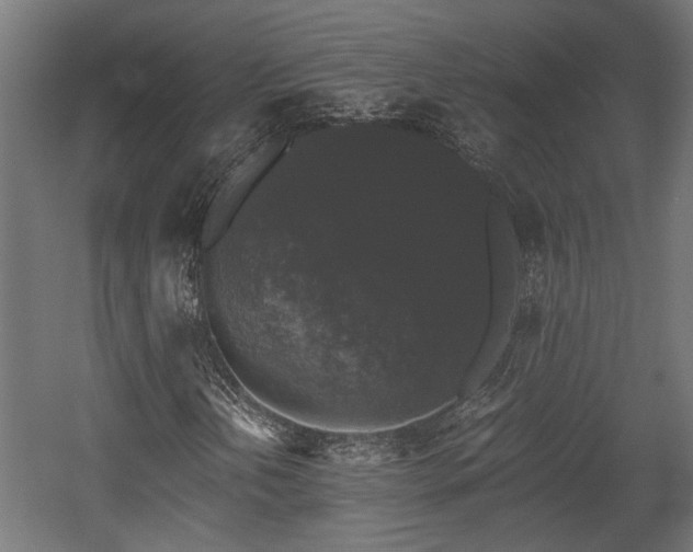 X0000058761202200510031009