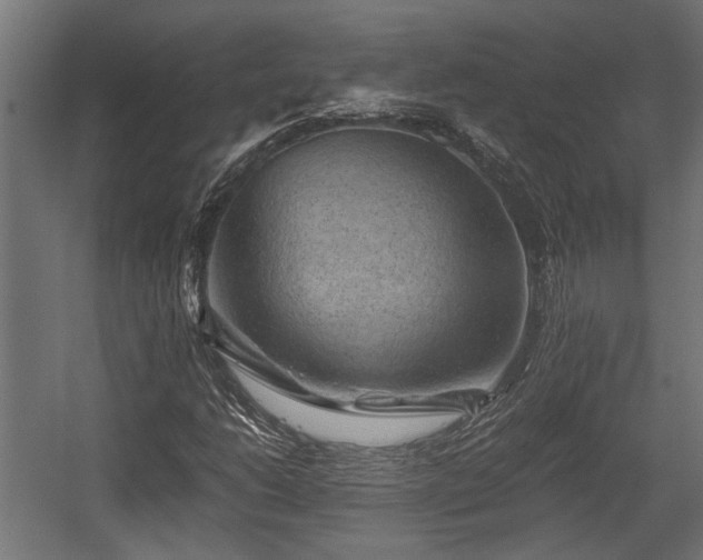 X0000058761206200510031010