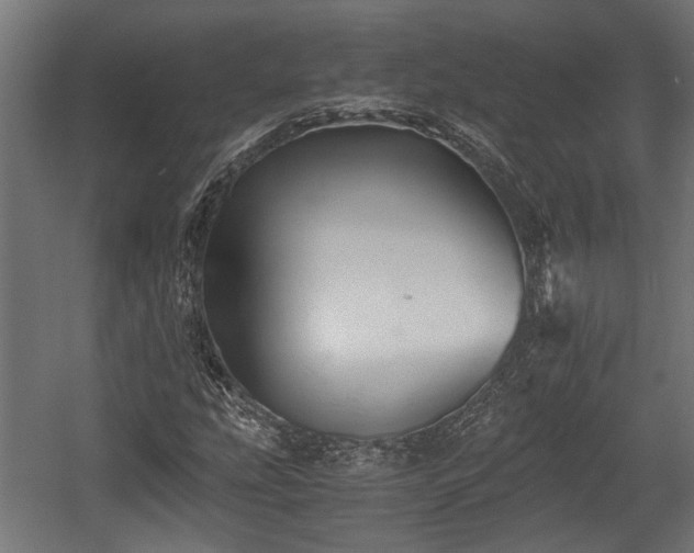 X0000058761207200510031010