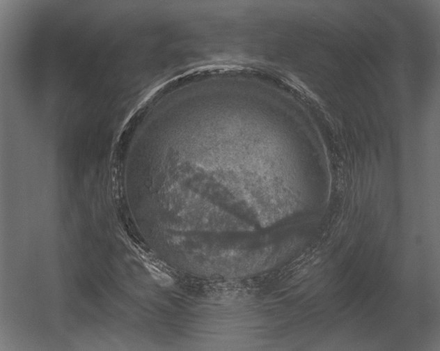 X0000058761208200510031010