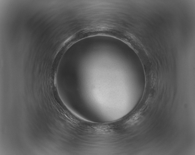 X0000058761210200510031010