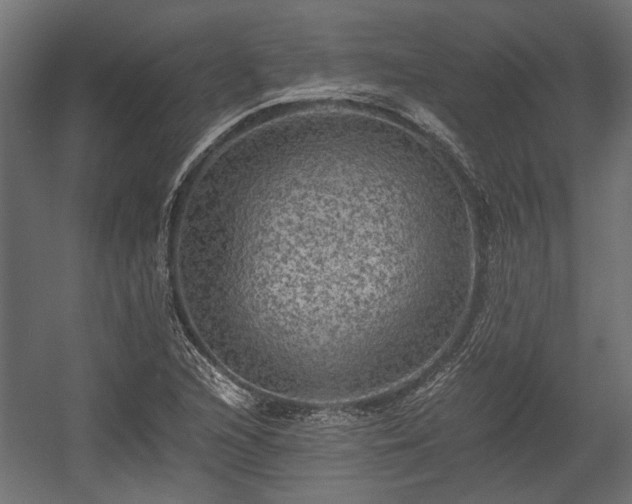 X0000058761216200510031010