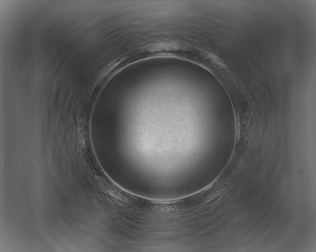 X0000058761217200510031010