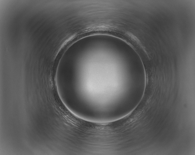 X0000058761218200510031010