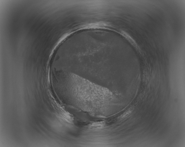 X0000058761224200510031010