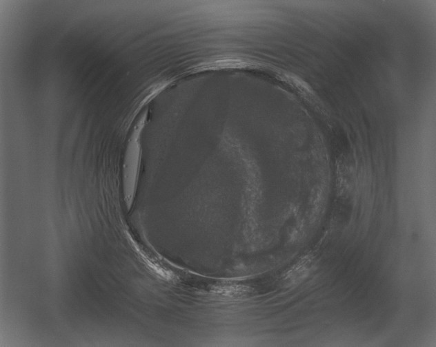 X0000058761225200510031010