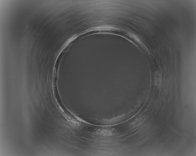 X0000058761229200510031010