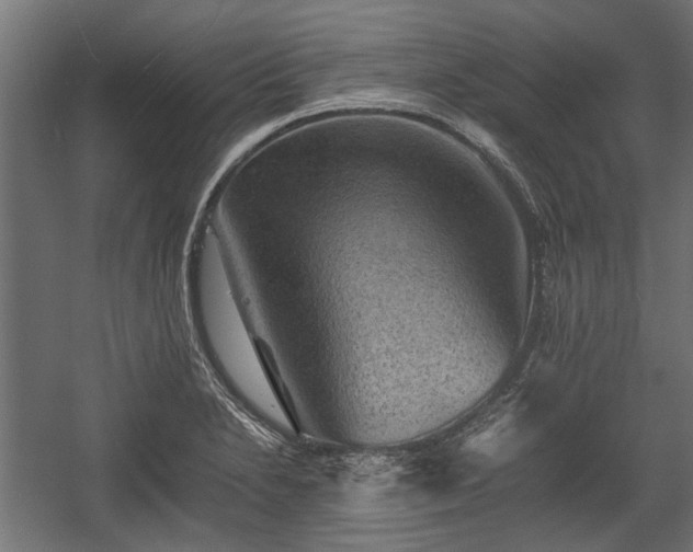 X0000058761230200510031010