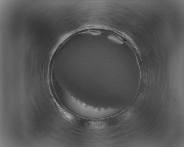 X0000058761231200510031010