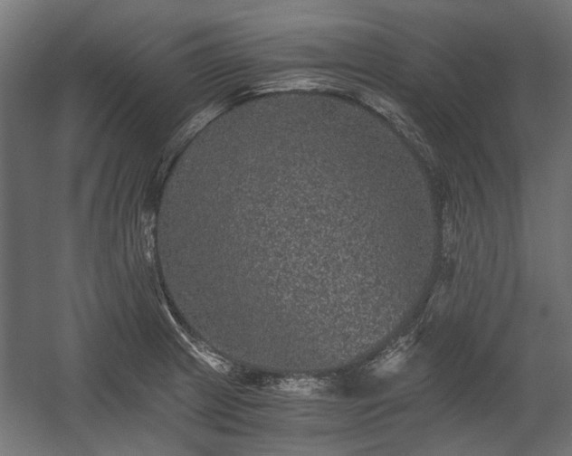 X0000058761233200510031010