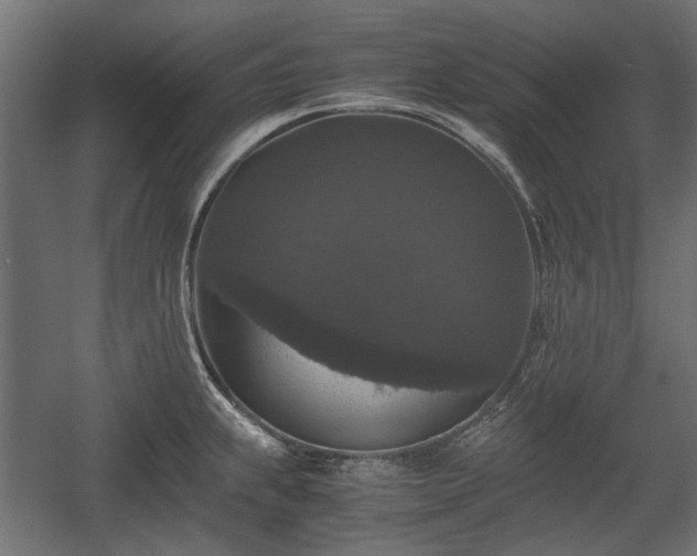 X0000058761239200510031010