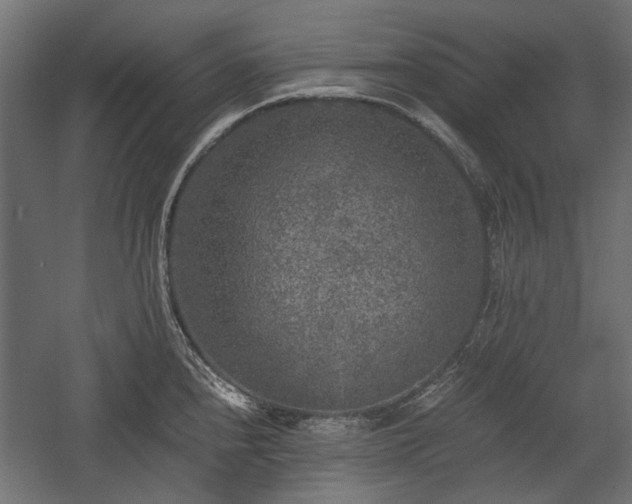 X0000058761240200510031010
