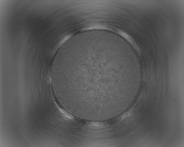 X0000058761241200510031010