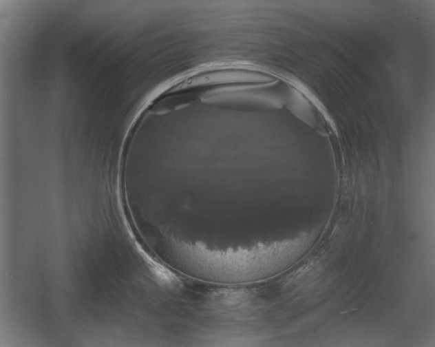 X0000058761245200510031010