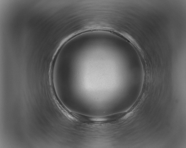 X0000058761246200510031010