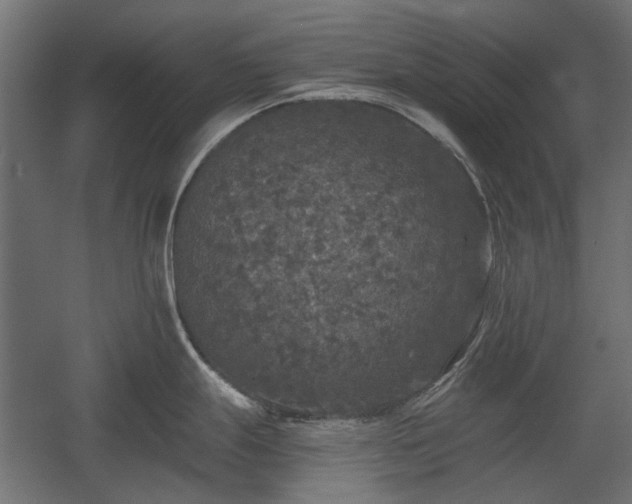 X0000058761247200510031010