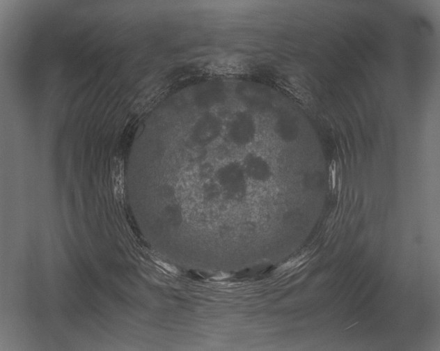 X0000058761251200510031009