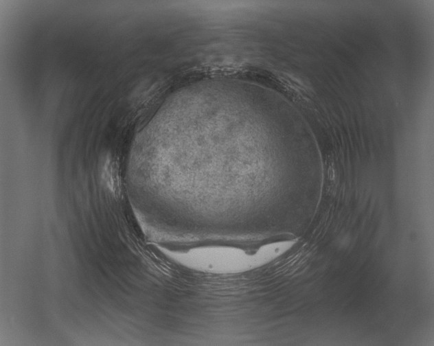 X0000058761252200510031009