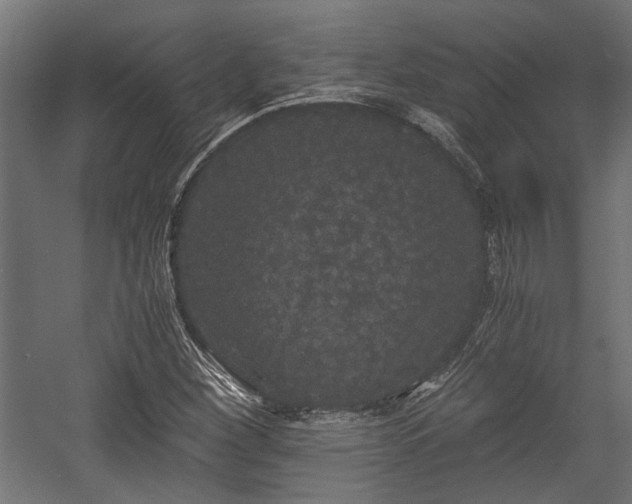 X0000058761260200510031009