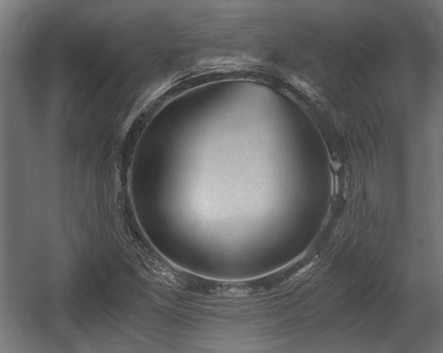 X0000058761261200510031009