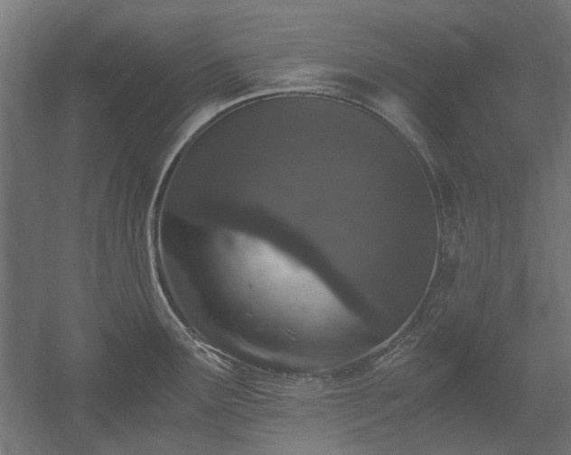 X0000058761291200510031009