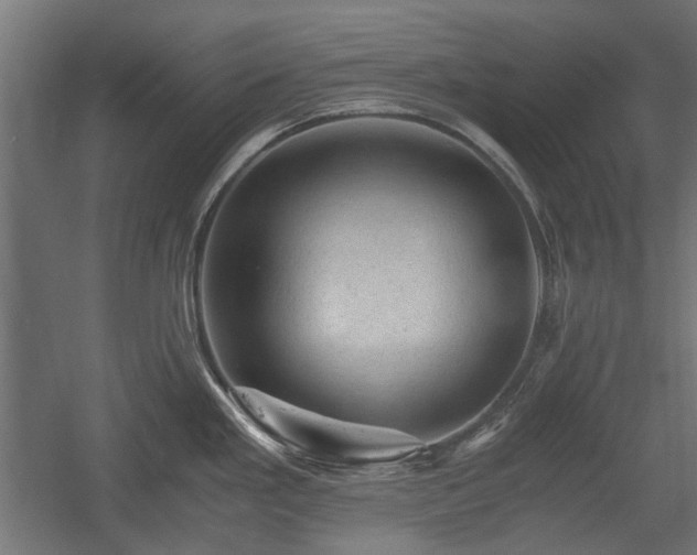 X0000058761293200510031009