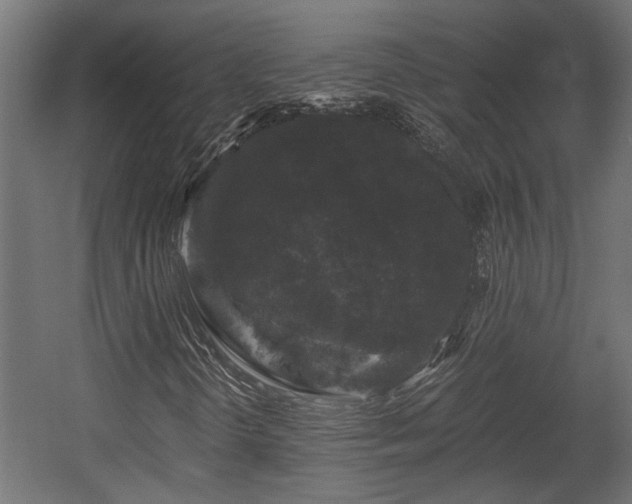 X0000058761298200510031008