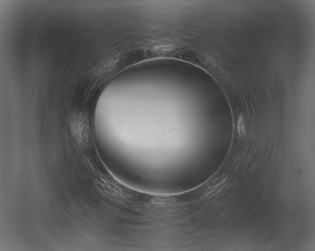 X0000058761299200510031008
