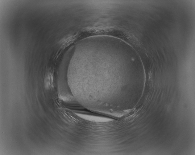X0000058761300200510031008